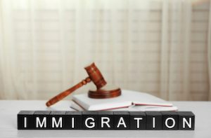 immigration law concept for immigration application help