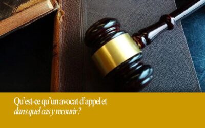 Qu’est-ce qu’un avocat d’appel et dans quel cas y recourir ?