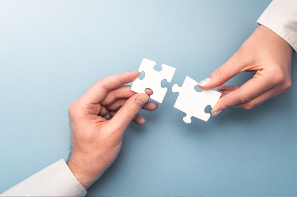 Why make a shareholders’ agreement?