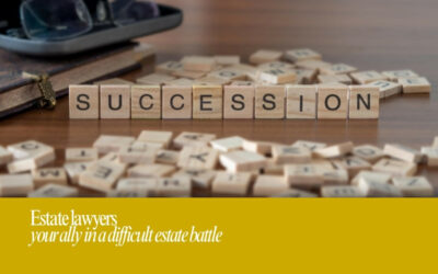 An estate lawyer: your aid when in an estate battle