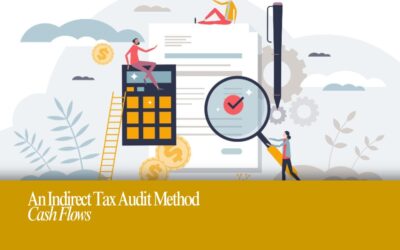 A look at an indirect tax audit method: cash flows