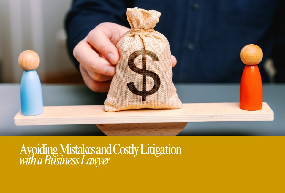 Why consult a lawyer: avoid mistakes and costly litigation