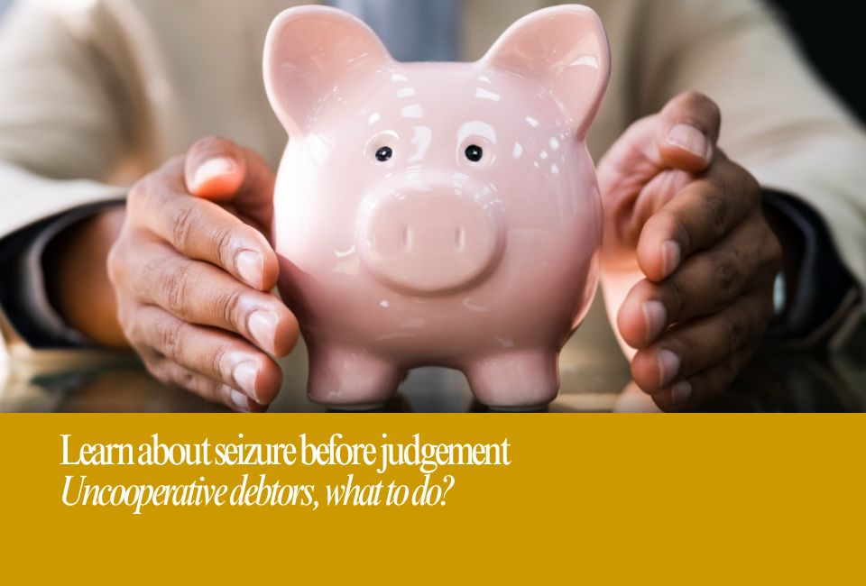 Learn about seizure before judgement
