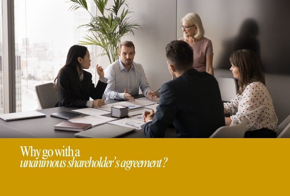 Why go with a unanimous shareholder agreement?
